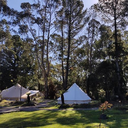 Glamping At Zeehan Bush Camp Zewnętrze zdjęcie