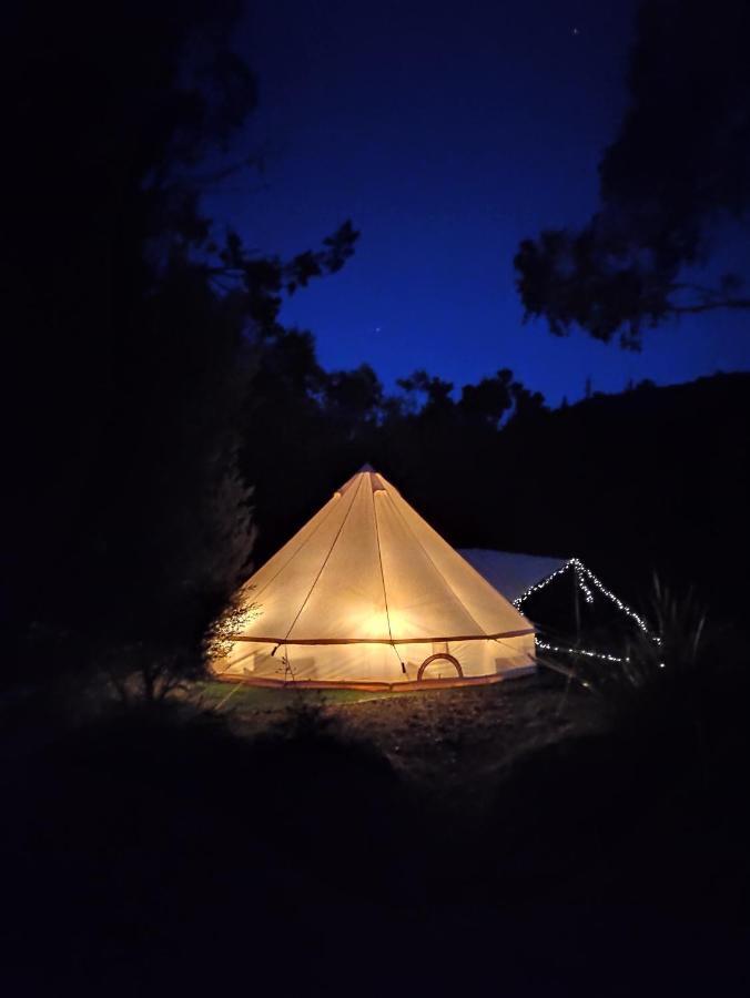 Glamping At Zeehan Bush Camp Zewnętrze zdjęcie