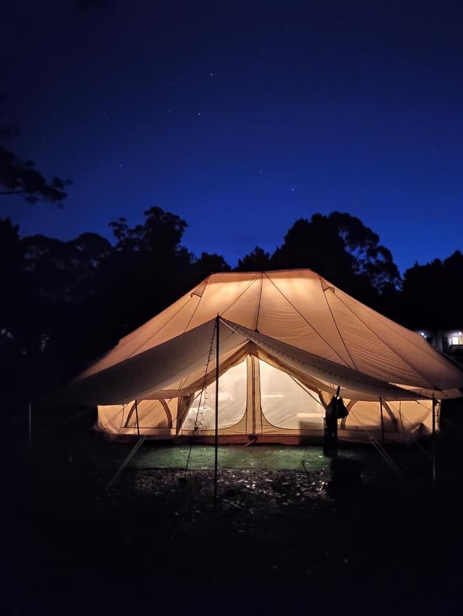 Glamping At Zeehan Bush Camp Zewnętrze zdjęcie