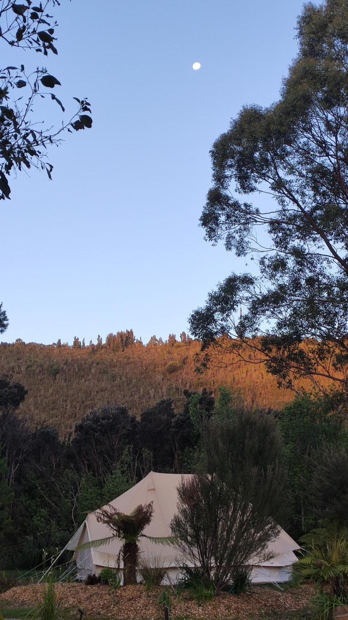 Glamping At Zeehan Bush Camp Zewnętrze zdjęcie