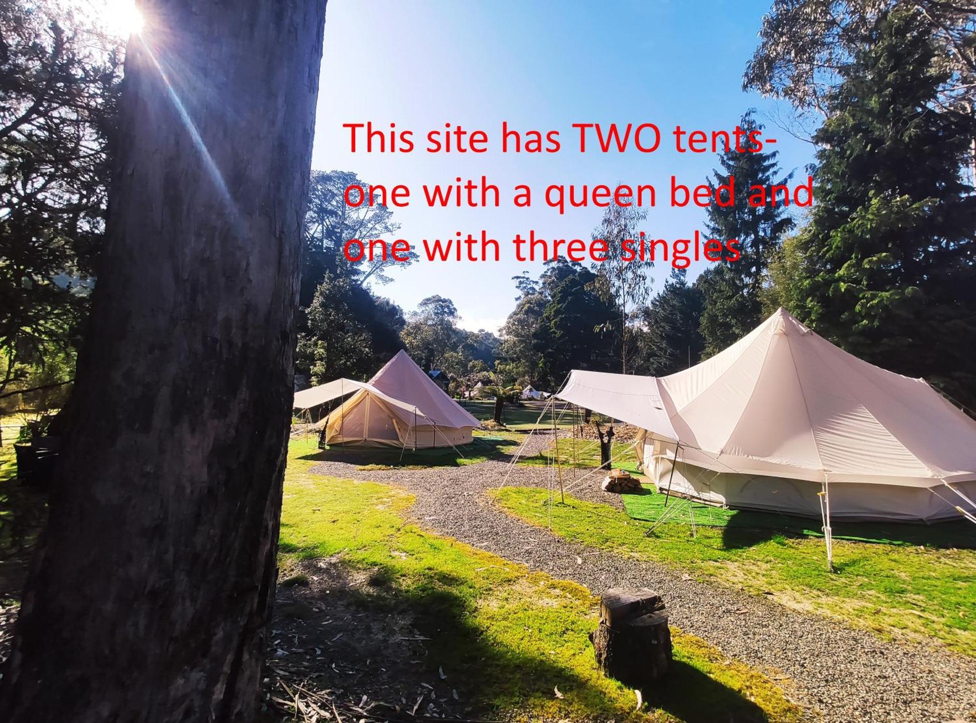 Glamping At Zeehan Bush Camp Zewnętrze zdjęcie