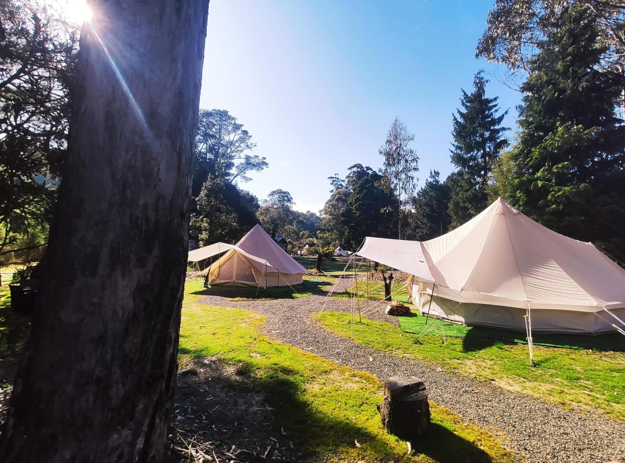 Glamping At Zeehan Bush Camp Zewnętrze zdjęcie