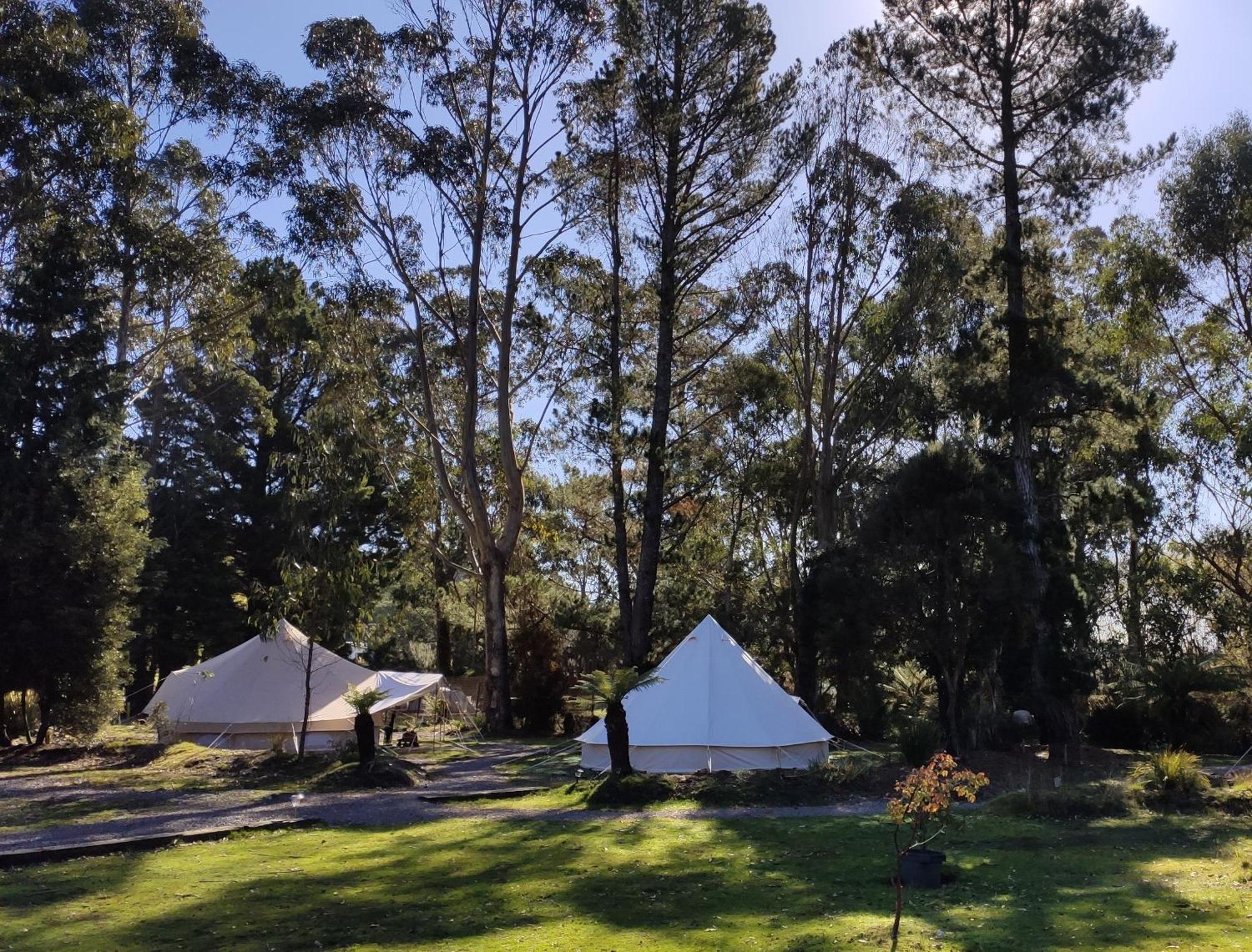 Glamping At Zeehan Bush Camp Zewnętrze zdjęcie