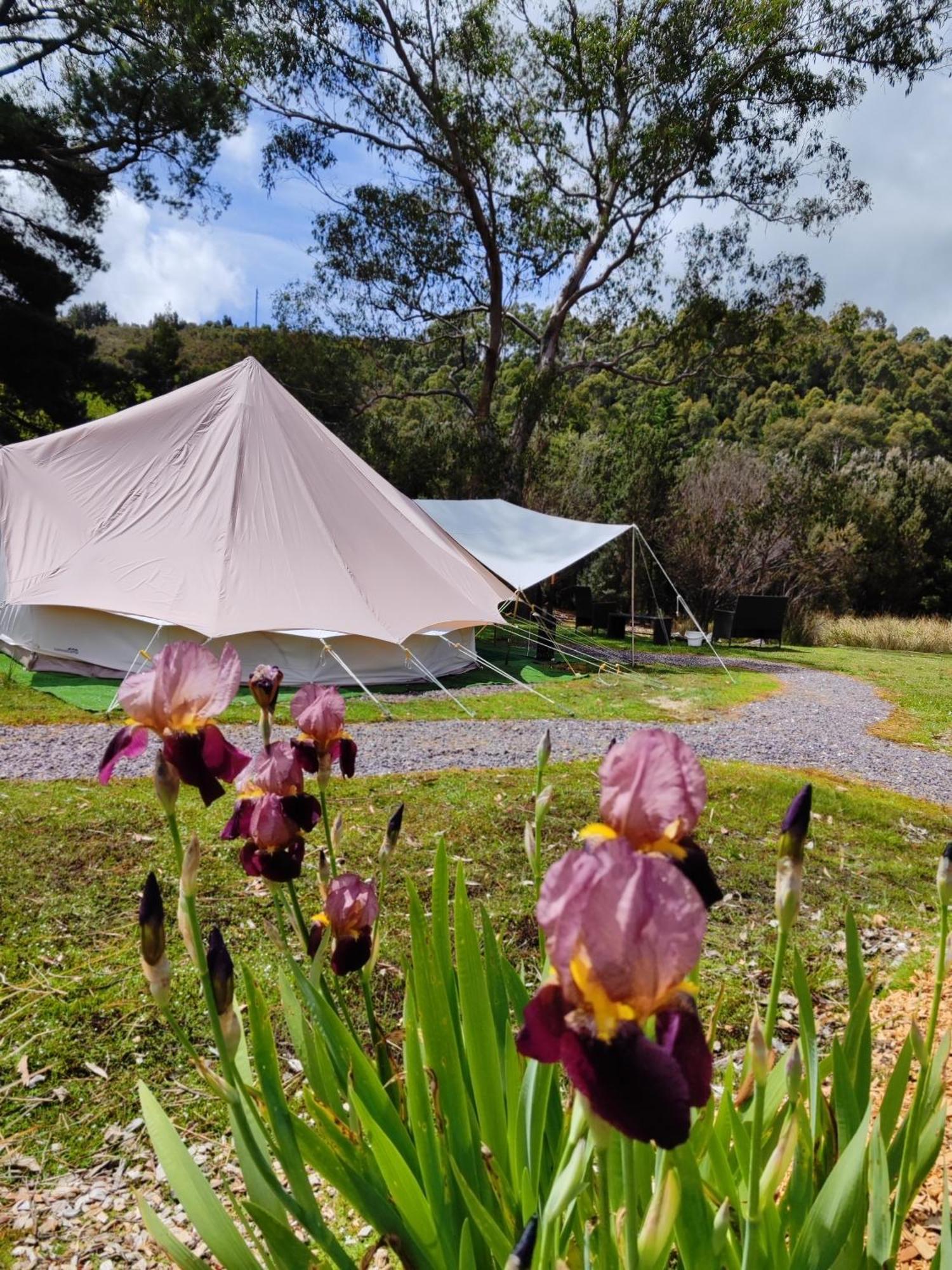 Glamping At Zeehan Bush Camp Zewnętrze zdjęcie