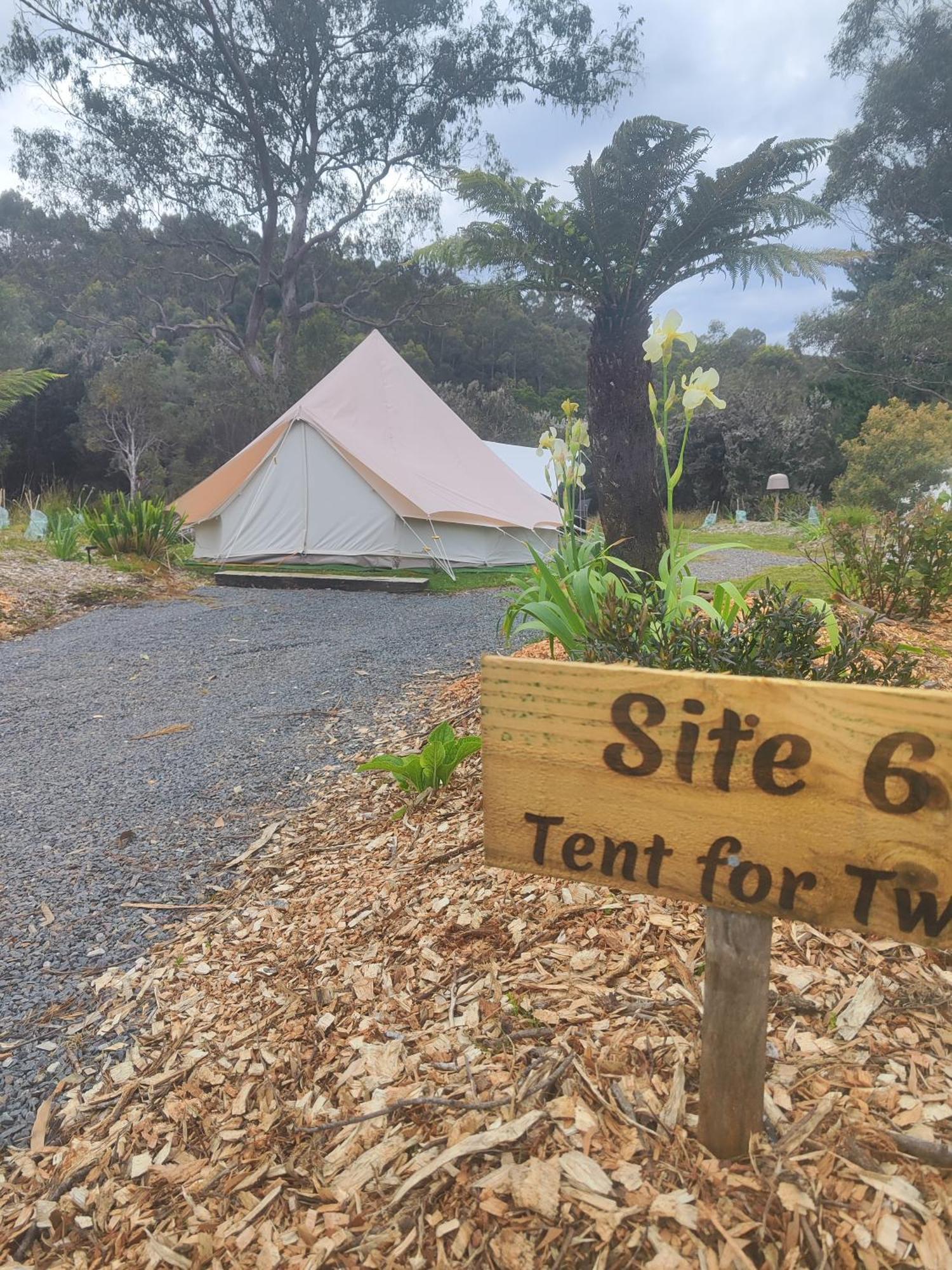 Glamping At Zeehan Bush Camp Zewnętrze zdjęcie