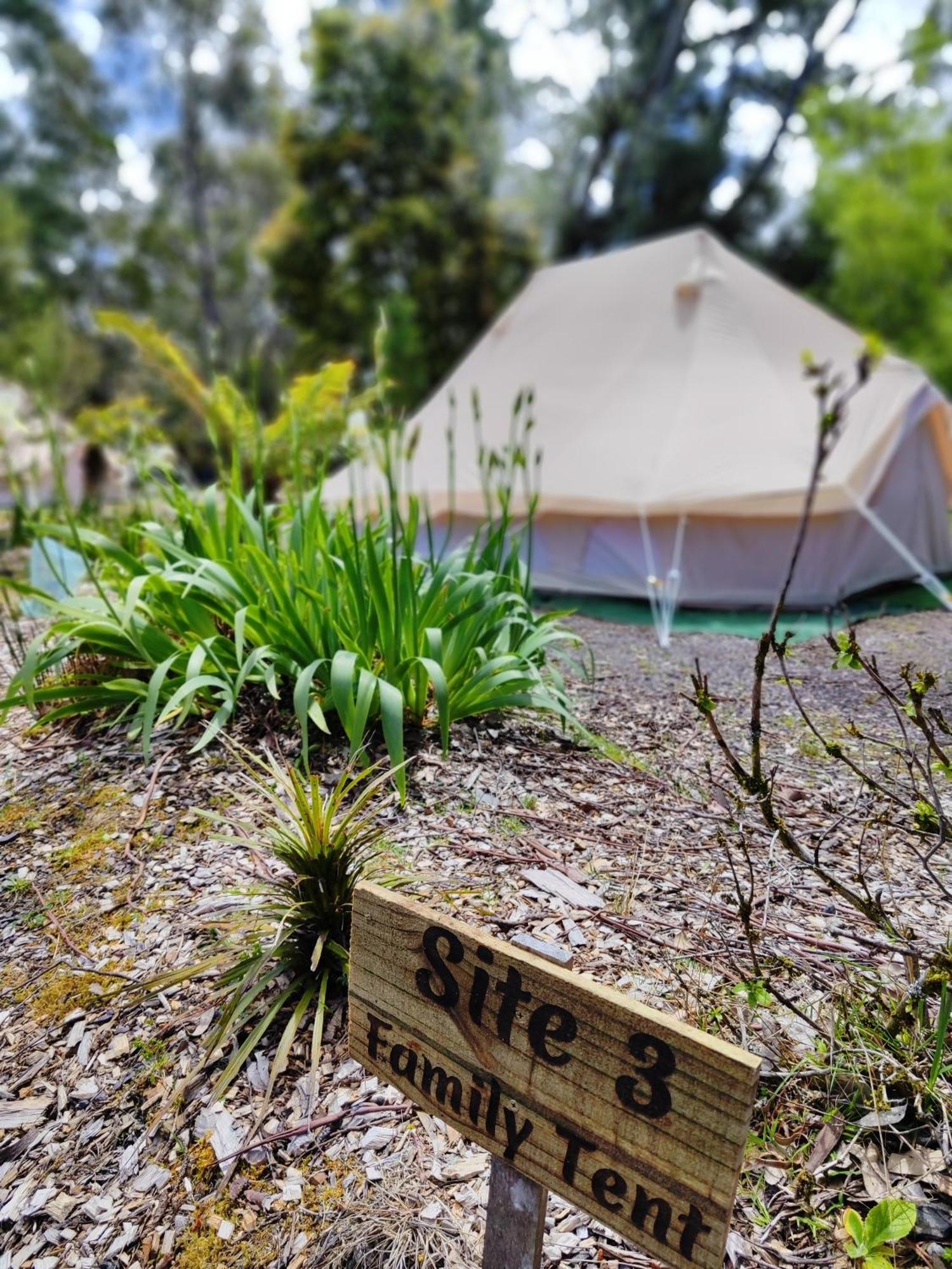 Glamping At Zeehan Bush Camp Zewnętrze zdjęcie