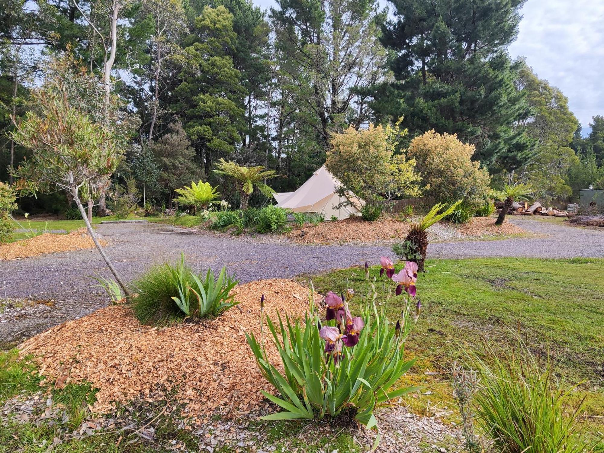 Glamping At Zeehan Bush Camp Zewnętrze zdjęcie