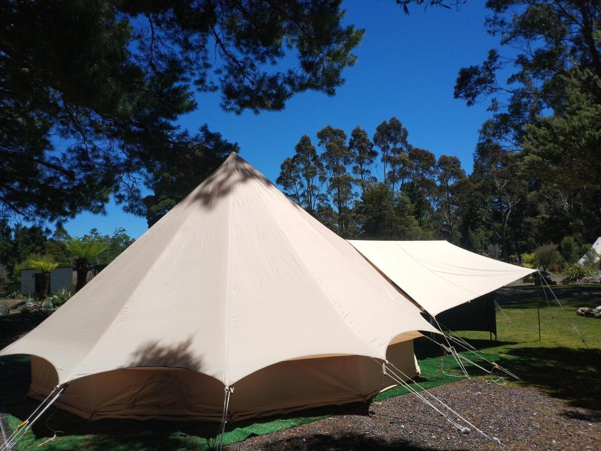 Glamping At Zeehan Bush Camp Zewnętrze zdjęcie