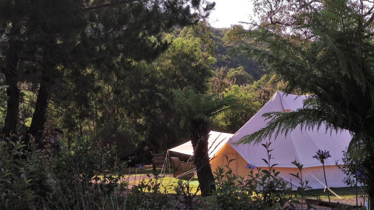 Glamping At Zeehan Bush Camp Zewnętrze zdjęcie