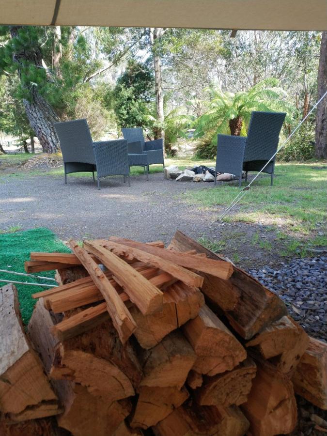 Glamping At Zeehan Bush Camp Zewnętrze zdjęcie